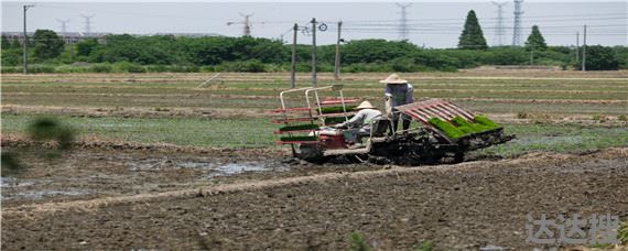 灌溉农业主要分布在哪