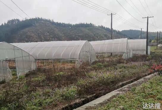 【土地流转案例】渝水80亩蔬菜种植基地成功流转，推动“死”资源变“活”资产