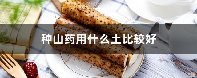 种山药用什么土比较好