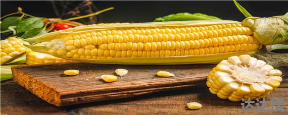 玉米深加工产品有哪些 玉米深加工的商业模式