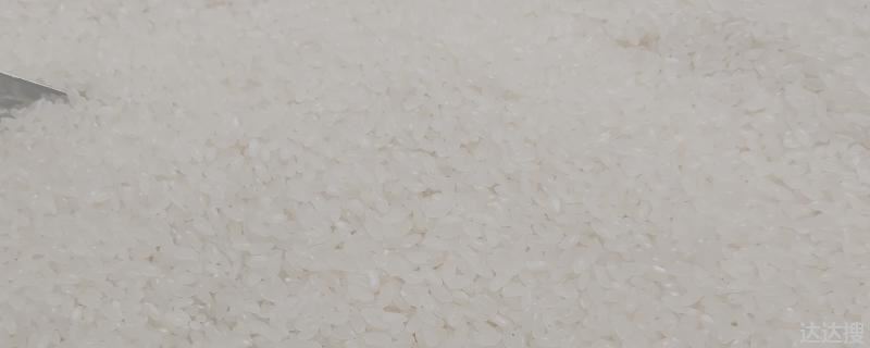 籼米适宜的种植海拔上限 籼稻的种植海拔上限是多少